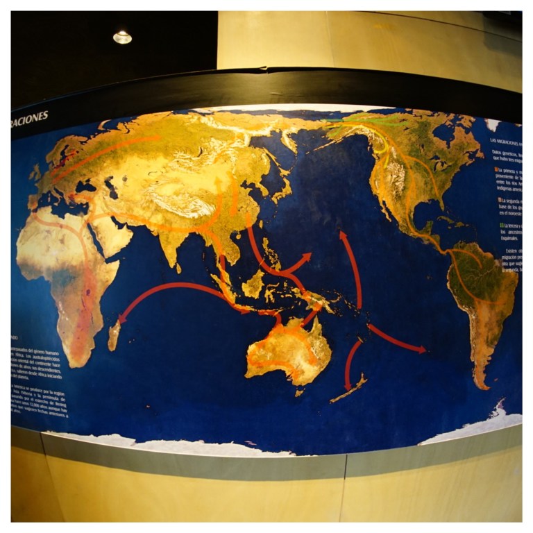 Processed with MOLDIV